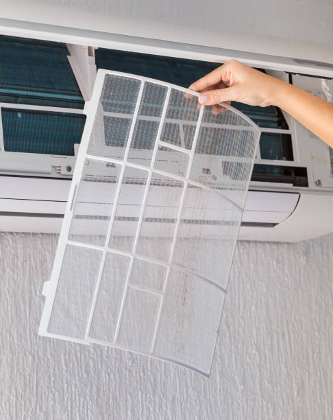 istock Dirty filter of air conditioner in female hands 902677452