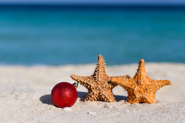 istock Tropical christmas and New Year celebration 902677894