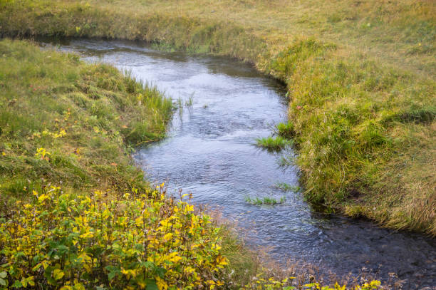 Idyllic Streams 2,400+ Chalk Stream Stock Photos, Pictures & Royalty-Free Images - iStock