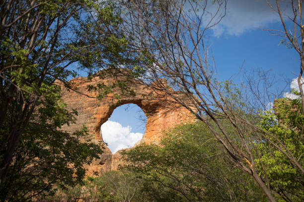 istock Serra da Capivara, Piaui, Brazil 902688330