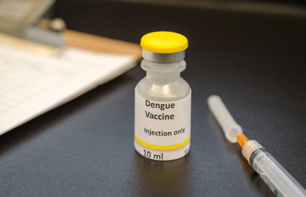 istock Dengue vaccine vial with injection syringe 902693944