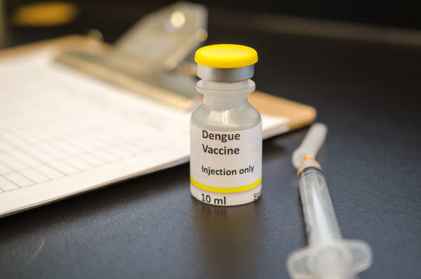istock Dengue fever vaccine 902693970