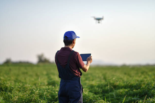 istock Young farmer flying a drone over a field 902700050