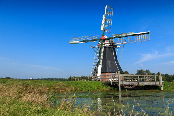 istock Historic windmill in landscape The Netherlands 902702916