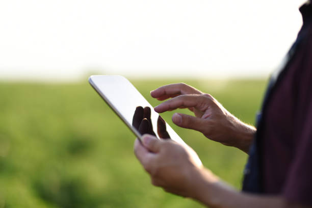 Young Farmer using a digital tablet stock photo