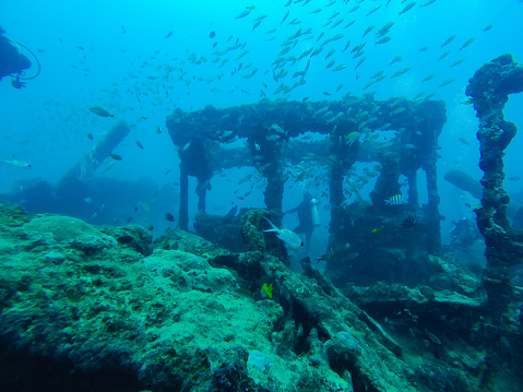 Recife, in Brazil, is one of the best places to pratice dives in shipwrecks in Latin America.