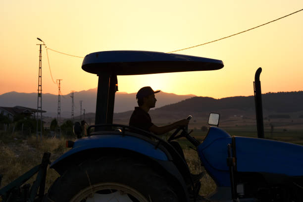 Farmer is driving the tractor at sunset