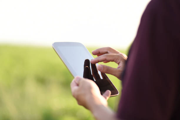 istock Technology is key to increasing agriculture productivity 902715488