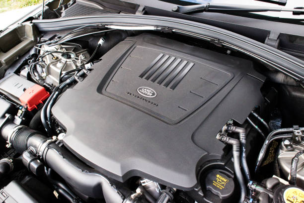 Velar Engine Layout 160+ Velar Stock Photos, Pictures & Royalty-Free Images - iStock