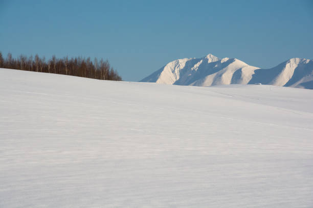 istock Snowy field and snowy mountains 902719304
