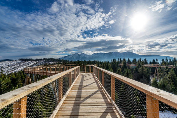 istock Wooden bridge walk mountains 902719550