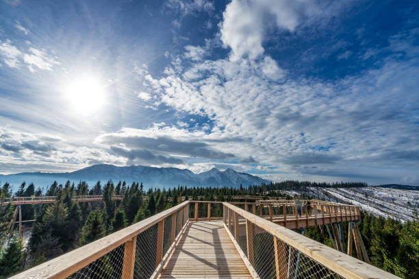 istock Wooden bridge walk mountains 902719562