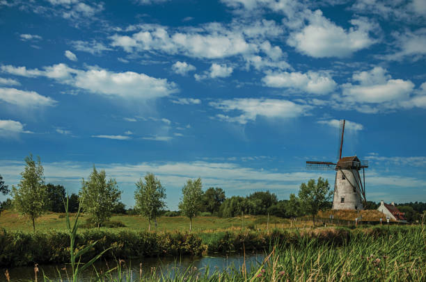 vieux moulin à vent à côté du canal avec des buissons et grove en arrière-plan dans la lumière en fin d’après-midi et le ciel bleu, près de damme. - belgium bruges windmill europe photos et images de collection