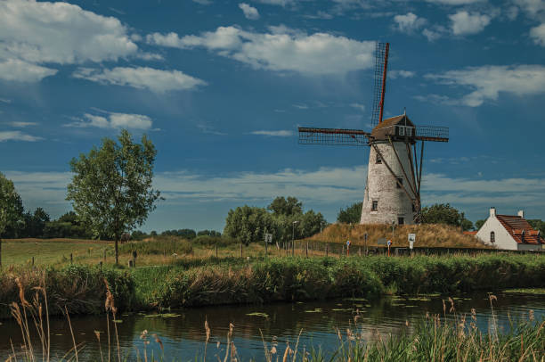 antiguo molino de viento junto al canal con matorrales y arboleda en el fondo de la luz por la tarde y el cielo azul, cerca de damme. - belgium bruges windmill europe fotografías e imágenes de stock