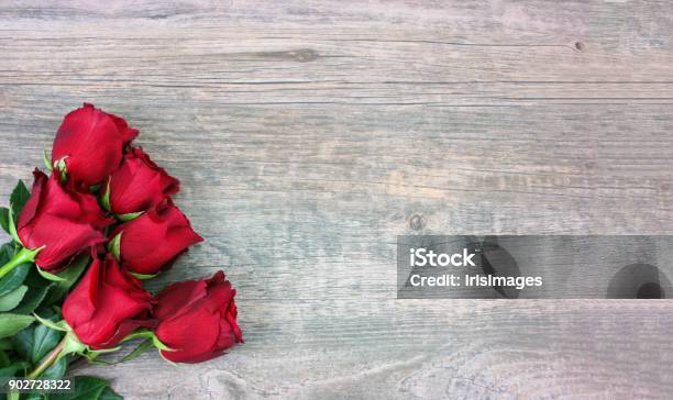Valentines Day Red Roses Over Wood Background Stock Photo - Download Image Now - Rose - Flower, Backgrounds, Valentine's Day - Holiday