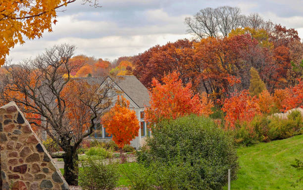 istock Beautiful Autumn Landscape Scene in Minnesota 902728746