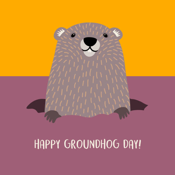 ilustraciones, imágenes clip art, dibujos animados e iconos de stock de feliz día de la marmota diseño con linda marmota de su madriguera. - groundhog