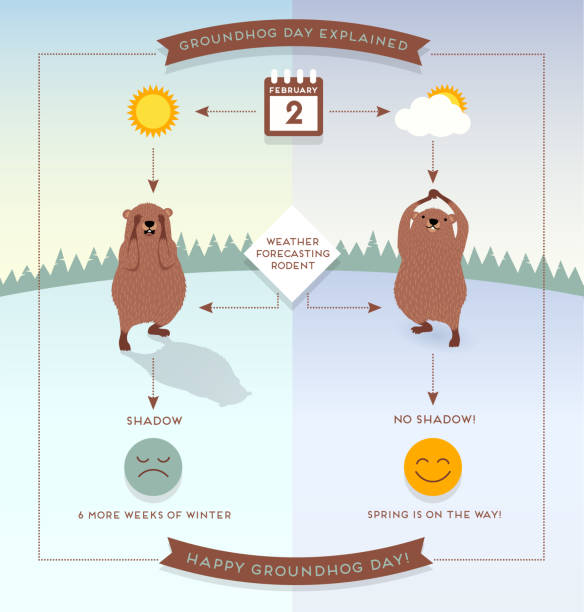 Happy Groundhog Day infographic flowchart style illustration with cute groundhogs. Happy Groundhog Day infographic flowchart style illustration with cute groundhogs. Vector illustration. groundhog stock illustrations