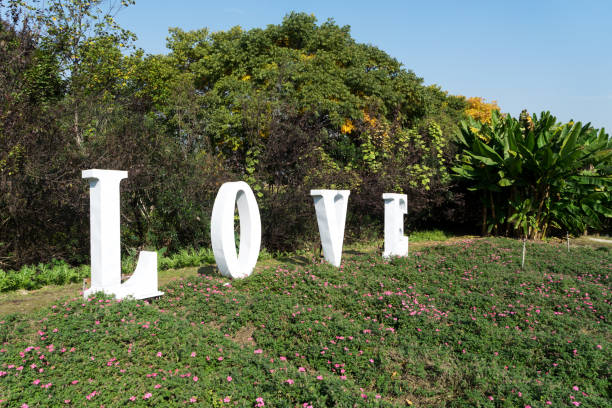 istock beautiful park in blue sky 902750102