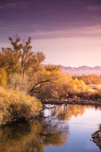 istock Las Vegas Wetlands 902753118
