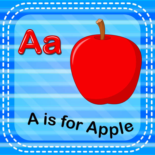 ilustrações, clipart, desenhos animados e ícones de letra flashcard um é de maçã - education reading and writing uppercase lowercase
