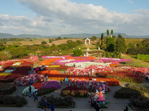 Aerial view of flora park flower arrangements, Nakhon Ratchasima, Thailand stock photo