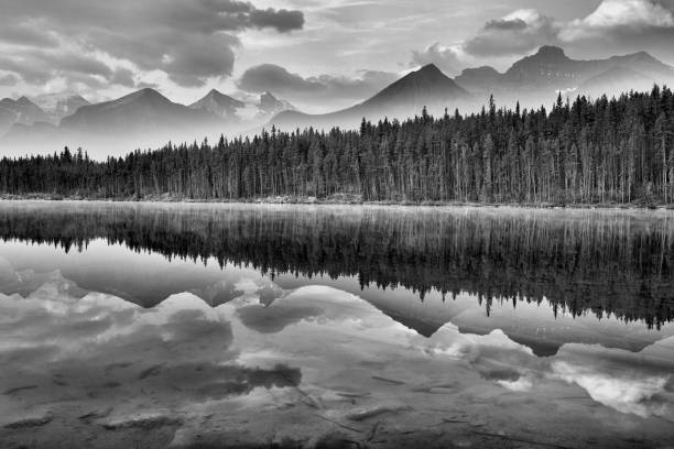 herbert lake banff national park - woods reflection famous place standing water imagens e fotografias de stock