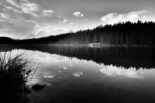 istock Herbert Lake Banff National Park 902766704