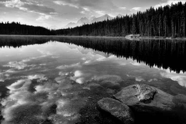 istock Herbert Lake Banff National Park 902766876