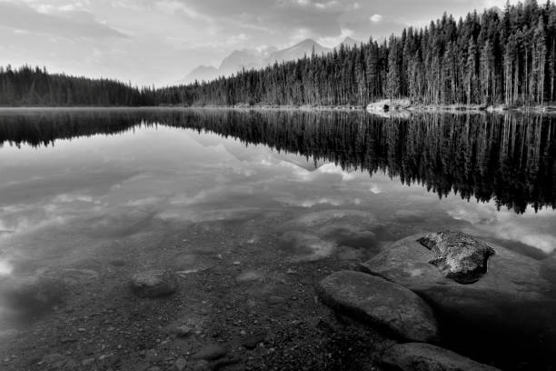 istock Herbert Lake Banff National Park 902766956