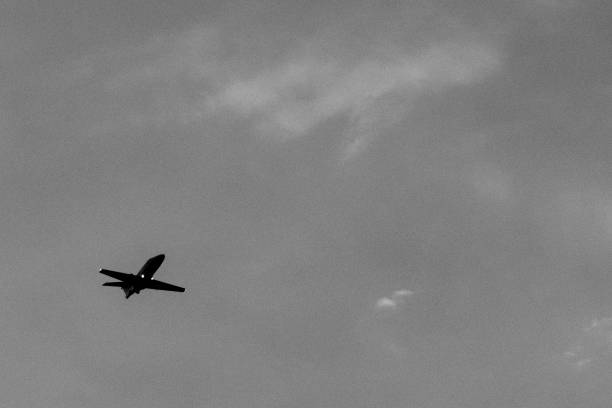 istock Commercial airplane flying at sunset 902770236
