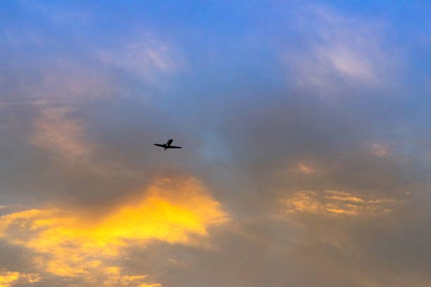 istock Commercial airplane flying at sunset 902770282