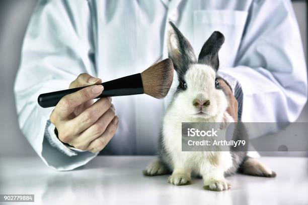 Test Cosmetico Su Animale Coniglio Scienziato O Farmacista Fare Ricerca Ingredienti Chimici Test Su Animale In Laboratorio Cruelty Free E Fermare Il Concetto Di Abuso Animale - Fotografie stock e altre immagini di Non testato sugli animali