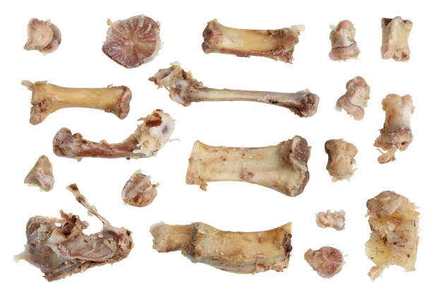 Chicken and pork bones from fat yellow bouillon. Isolated on white background studio concept