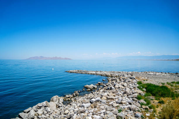istock Far Saltier Than Seawater 902783182