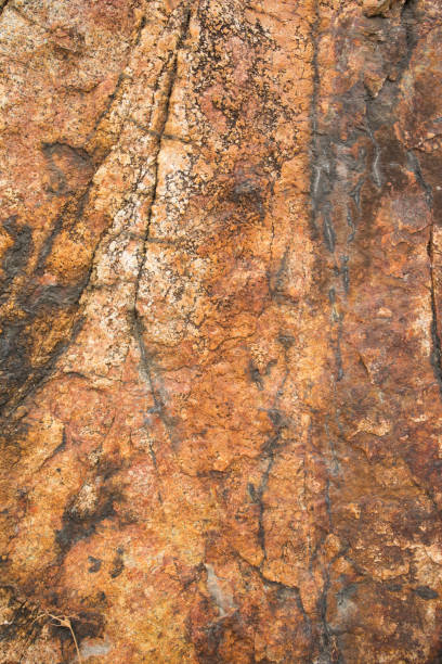 istock Rock on the beach - stone texture close-up 902783736
