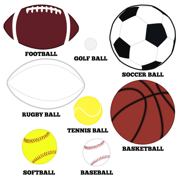 스포츠 볼 모음 - tennis tennis ball sphere ball stock illustrations