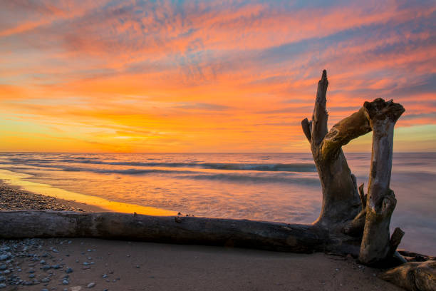 istock Driftwood on a Lake Huron Beach at Sunset 902787050