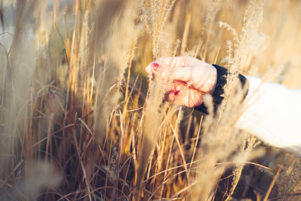 istock happy woman touching reed plant 902790442