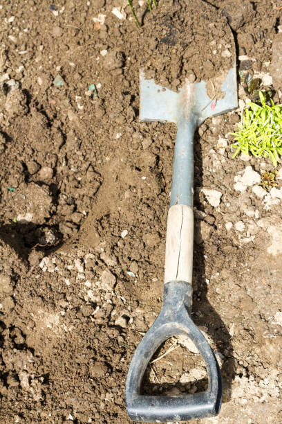 istock Shovel on the ground 902790998