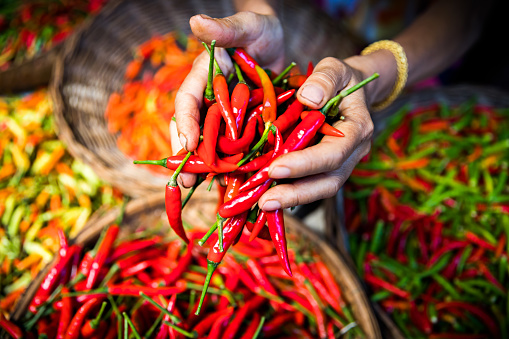 An abundance of red chillies at a farmers market