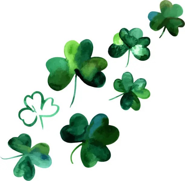 Vector illustration of Vector drawings of watercolor shamrocks, isolated on white