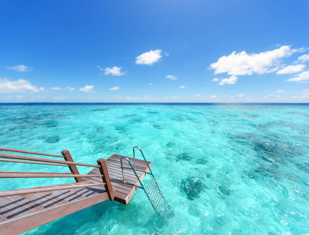 Ladder pier into the beautiful green tropical lagoon