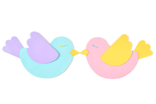 Love birds paper cut on white background