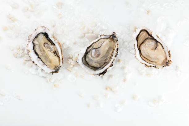 istock Overhead photo of three oysters with copy space 902797530