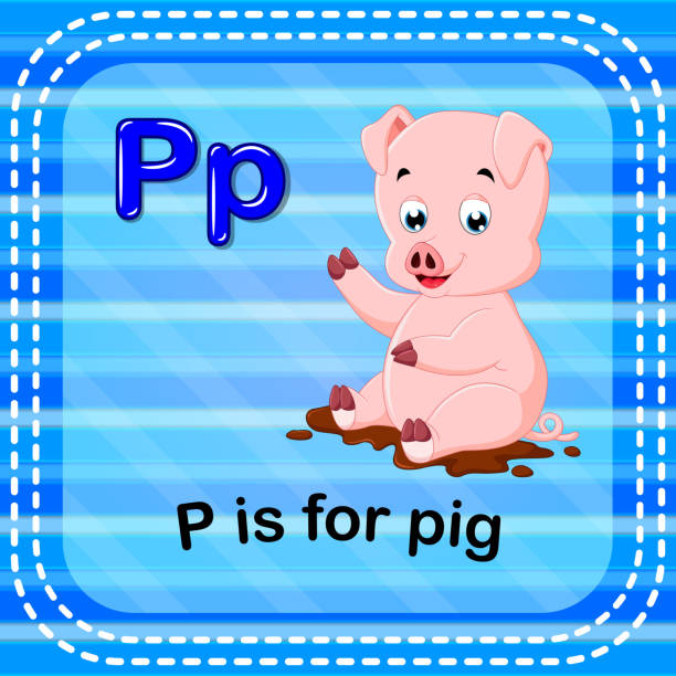 Flashcard Letter P Is For Pig Stock Illustration - Download Image