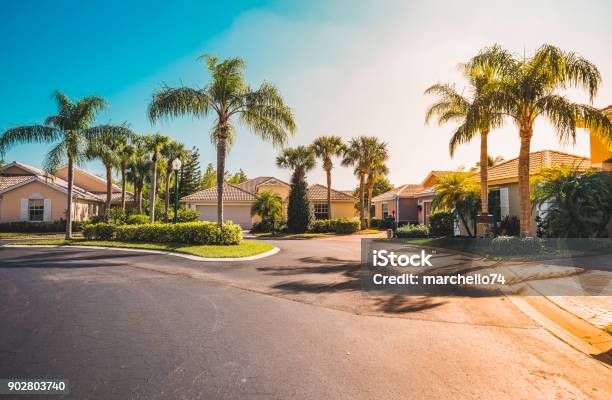 Casas De Fraccionamiento Las Palmas Sur De La Florida Foto de stock y más banco de imágenes de Florida - Estados Unidos