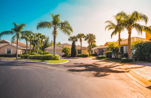 case della comunità recinta con palme, florida meridionale - florida stati uniti foto e immagini stock