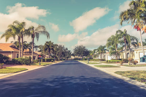 Gated community houses with palms, South Florida Asphalt road through gated community subdivision, South Florida. Vintage colors collier county stock pictures, royalty-free photos & images
