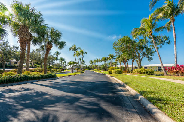 Gated community road with palms, South Florida, United States. Sun rays